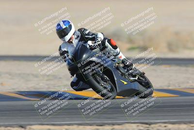 media/Feb-04-2023-SoCal Trackdays (Sat) [[8a776bf2c3]]/Turn 4 (Tree of Life 2pm)/